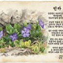 빈카