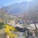 지니스안경 효자신시가지점 이미지