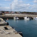 온평리-5 이미지