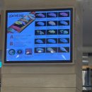 싱싱초밥 | 신세계 센텀 김씨마구로 내돈내산 활어회 싱싱했던 회전초밥 후기