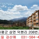 강산애펜션 Daum카페