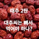 ﻿대추 2탄 - 대추씨는 빼고 먹어야 하나? 이미지