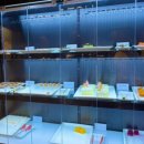 동구릉로6번길 | 구리 초밥무한리필, 프리미엄 뷔페 다이닝 I 고메스퀘어 롯데마트 구리점