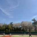 안정공원 테니스장