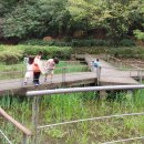 매봉산 유아숲체험원 이미지