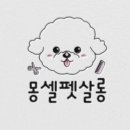 몽셀펫살롱 이미지