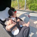 원주제일큰약국 | 원주약국 연중무휴 주말 공휴일 영업하는 원주제일큰약국으로 쇼핑 다녀왔어요.