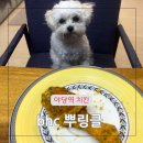 야당역 치맥 운정 치킨 bhc 뿌링클 치즈볼 치로스 파주 야식