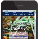 향교손짜장 이미지