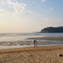 장미 펜션 | 태안 어은돌 펜션 : 장미펜션 오션뷰 숙박 후기 (가성비, 가족여행)