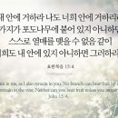 포도나무365 이미지