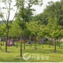 솔찬 이미지