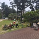 삼화배달통 | 공항근처 브런치카페 _ 제니의정원 / 짜장면 _ 삼화배달통