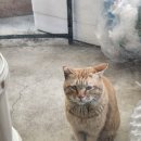 지하철2호선전포역 | 부산 전포 맛집 추천｜두쫀쿠 카페 파커 재방문 솔직 후기