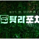 탐라포차 둔산점 이미지