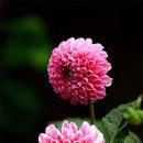 사진만들기 이미지