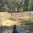 영흥숲공원 숲놀이터 이미지