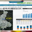 금왕초 이미지