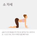 키크는 요가 이미지