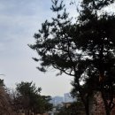 세종이야기미술관