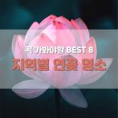 종로-종로-종로-종-094 | 꼭 가봐야할 지역별 연꽃 명소 BEST 8