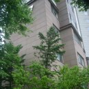 ★★ 오늘 아침에, &#39;다나스&#39; 태풍 물러간 후 지금 장마기간에 우리단지 실입주민이 외곽 시설점검 결과를 여러분께 공유 합니다. (사진 5개 첨부) ★★ 이미지