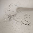 코닉스 | 트리코닉스 샴푸 솔직후기 남편 정수리 볼륨 지키기 도전기