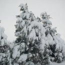 영암햇살농장 이미지