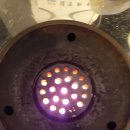 꿀꿀이네 이미지