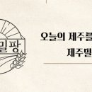 제주밀팡