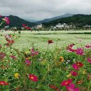 운암1동 주민센터 이미지