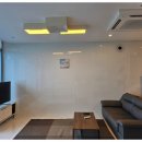 파니아토 이미지