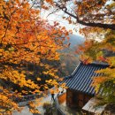 11월 4일 (경기 동두천) 소요산 단풍과 암릉산행(100명산) 이미지