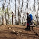 (주)팀삼층 이미지