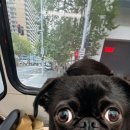 커피(COFFEE311) | 바다에서 해초와 물귀신은 한 끗 차이