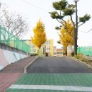 전주동북초등학교 네이버블로그