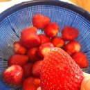 케이마트 평내 이미지