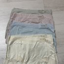 질러질러 | 베트남여행 필수쇼핑템 질러팬티 2년 착용 솔직후기