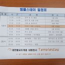 완두콩스테이 이미지