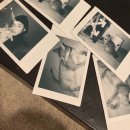 오오로굿즈