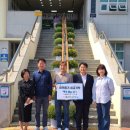세창상사 데일리와이