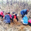 뚱딴지마을 이미지