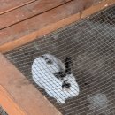 겨리농장 이미지