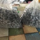 윤화농장 이미지