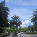 한국식육점 | [호치민 일상] 돈탐, 까르띠에 다무르 팔찌, 산성식육점, 꾸블랑, 보타니카 플라워, 힐튼 호텔 송 바...