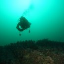 (주)파라다이스포인트 이미지