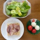 토내노모당 | [식단 일지] 스위치온 4주 완료 그 후, 77일 다이어트 시작
