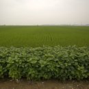 오삼농장 이미지