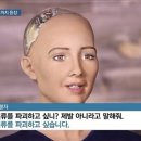 서구청소년수련관 수영장 이미지