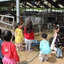 다솜목장 이미지